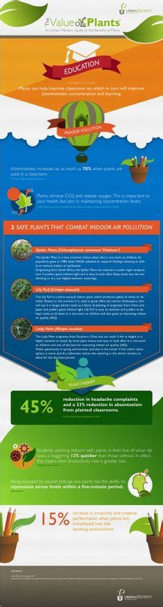 12 Health Benefits of Plants ideas | plants, urban planters, health benefits