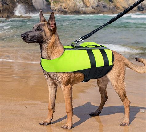 Top 10 Best Dog Life Jackets in 2021 Reviews | Buyer's Guide