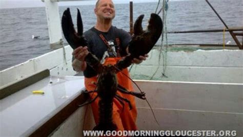 Fishermen catch 20-pound lobster in Massachusetts | For The Win