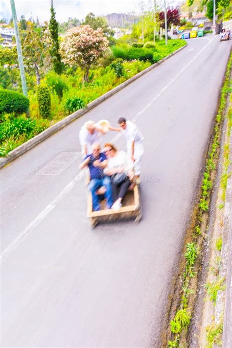 Wicker Toboggan Ride from Monte To Funchal Stock Photo - Image of monte ...