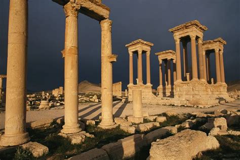 Ancient Tides: Lush Farms Once Surrounded Palmyra