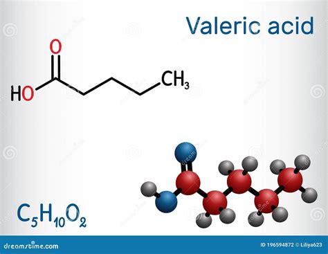 Valeric Acid, Pentanoic Acid Or Valerate Molecule. Skeletal Chemical ...