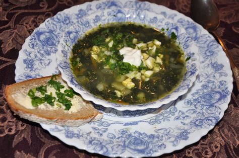 Nettle Soup Recipe | RecipeStudio