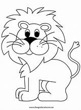 lion coloring Page Lion Coloring Pages Printable  sketch template