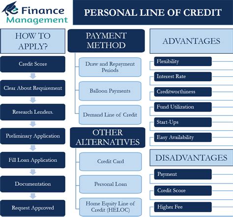 Personal Line of Credit | Meaning, How it Works, Benefits and Drawbacks