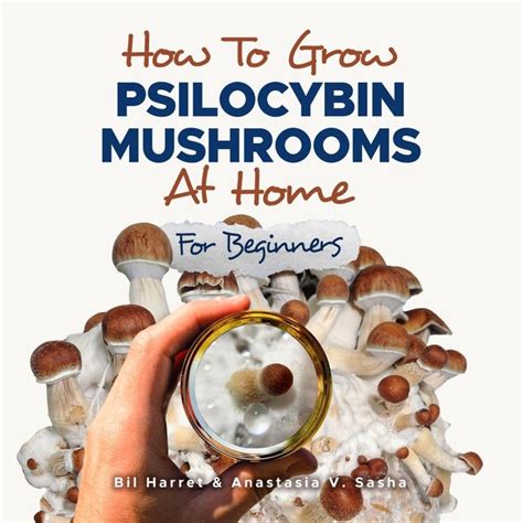 How to Grow Psilocybin Mushrooms at Home for Beginners: 5 Comprehensive ...