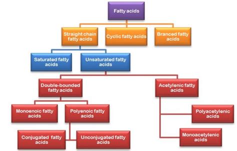 classification of fatty acids - Food, Nutrition and Health