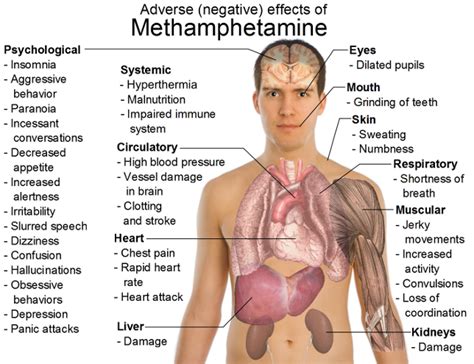 Facts on Methamphetamine Withdrawal | Drug Rehab | Drug Detox