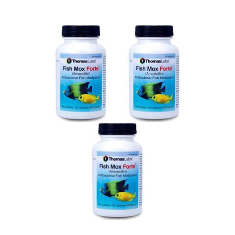 FISH MOX FORTE 500 mg Amoxicillin - FREE SHIPPING on Every order of ...