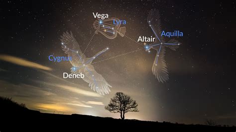 Guide To Summer Triangle Asterism: Constellations, DSOs, Stars In The Summer Triangle | Star Walk