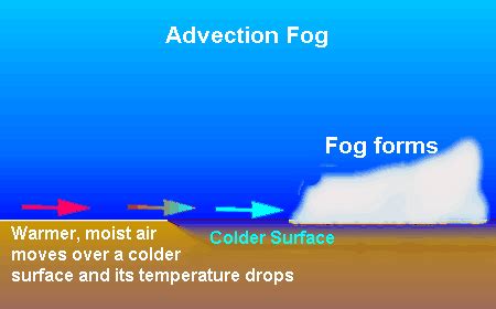 Study Notes on Fog