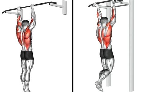 25 Different Types Of Pull Ups and Chin Ups (Variations)