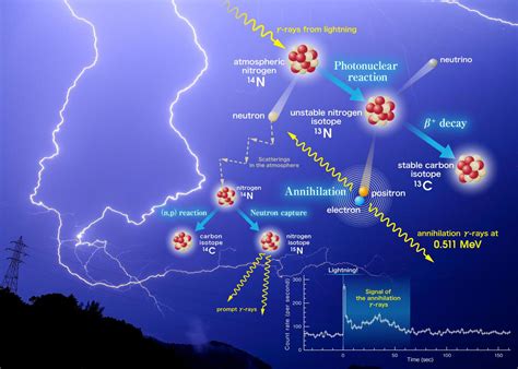 How Gamma-Rays from Lightning Produce Radioisotopes and Positrons