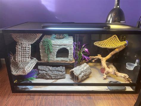 How to build a 120 gallon bearded dragon tank - kobo building