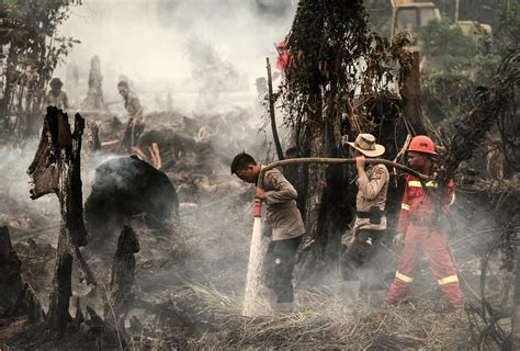 Indonesia fights to put out hundreds of forest fires, as schools shut ...