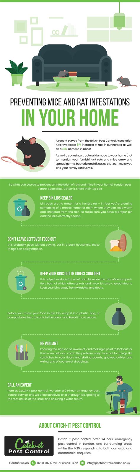 Preventing mice and rat infestations in your home - Infographic Portal ...