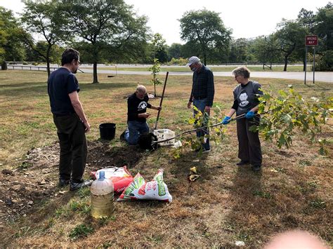 Tree Planting Memorial | bcpeaceaction.org