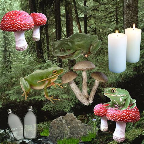 Goblincore, cottagecore, frog, mushroom, HD phone wallpaper | Peakpx