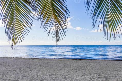 Tropical beach turquoise water palm trees Playa del Carmen Mexico ...