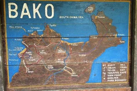 How to Visit Bako National Park Borneo - What To See + Do