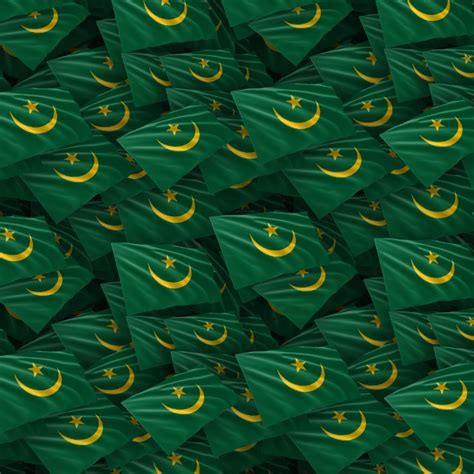 Mauritania Flag – Pattern Crew