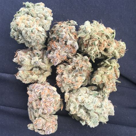 Gelato Strain Information