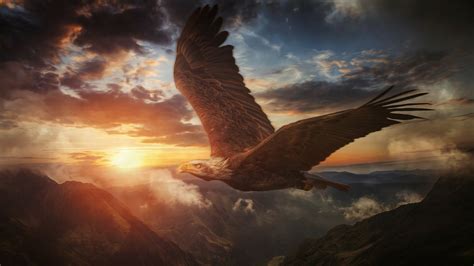 Download Mountain Sunset Eagle Animal Bald Eagle 4k Ultra HD Wallpaper by Chris Frank