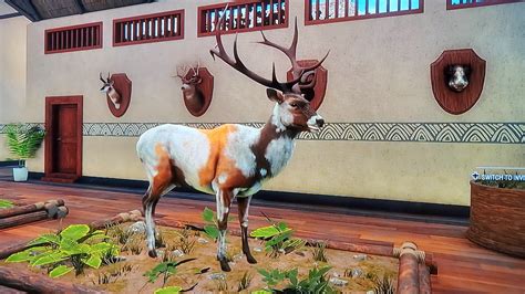 First piebald elk : r/theHunter