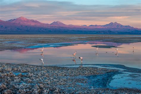 Adventure with a Side of Luxe: An All-Inclusive Oasis in the Atacama Desert