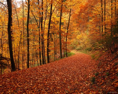 Autumn in Freiburg, Germany - November 2010 | Trip Reports | Mountain ...