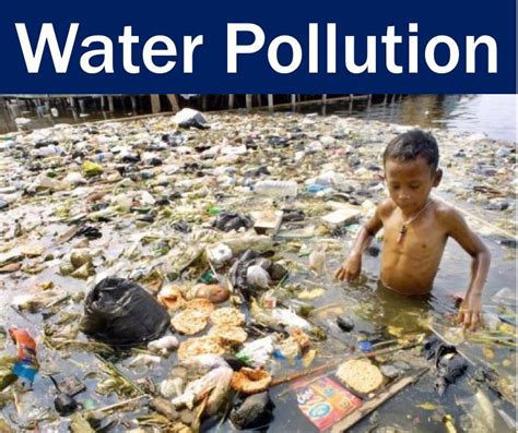 Water pollution - definition and meaning - Market Business News