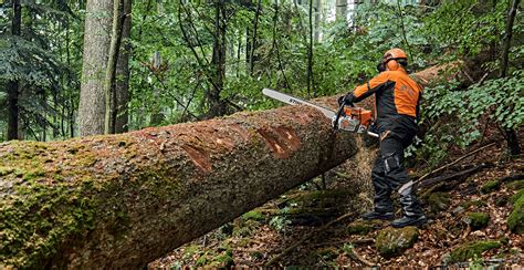 Introducing The New MS 881 Magnum Chainsaw - STIHL Blog