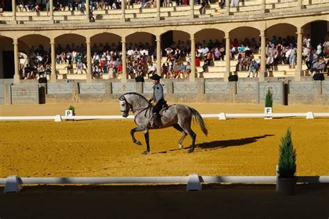 Caballo Español bailando en la plaza de toros de Ronda, España Spanish Horse dancing in Ronda ...