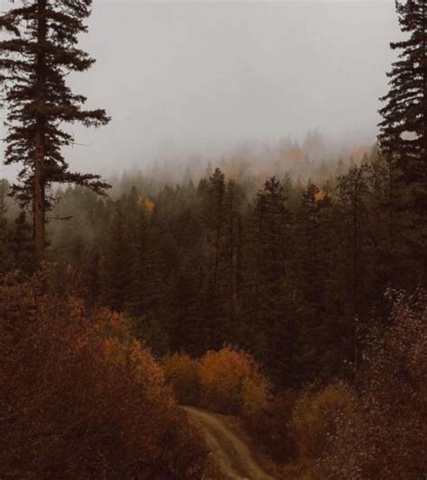 livya ༉‧₊˚ on Twitter | Scenery, Dark autumn, Autumn aesthetic