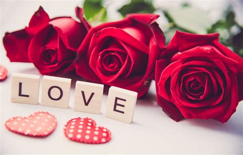 Wallpaper love, heart, roses, red, red, love, heart, flowers, romantic ...