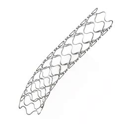 Coronary Stents Manufacturers, Suppliers & Exporters