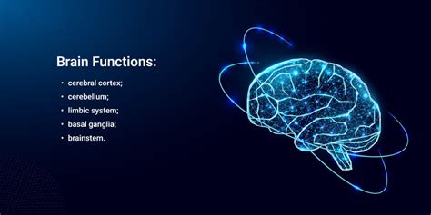 The Brain Anatomy and its Functions - Lone Star Neurology