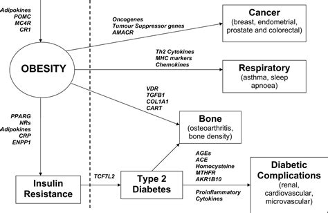 The Genetics of Obesity & Health – 2ndAct Health & Testing Services