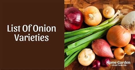 Types Of Onion Plants