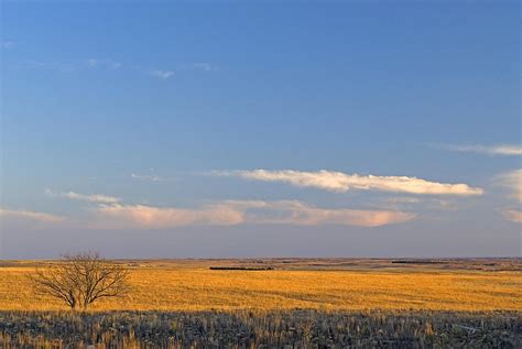 High Plains Of North Texas Photograph by James Steinberg - Pixels