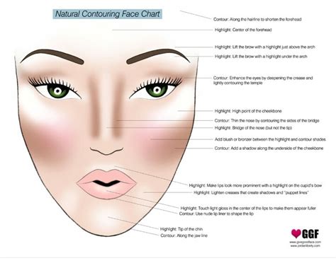 This is how u do it | Contour makeup, Contouring face chart, Beauty hacks