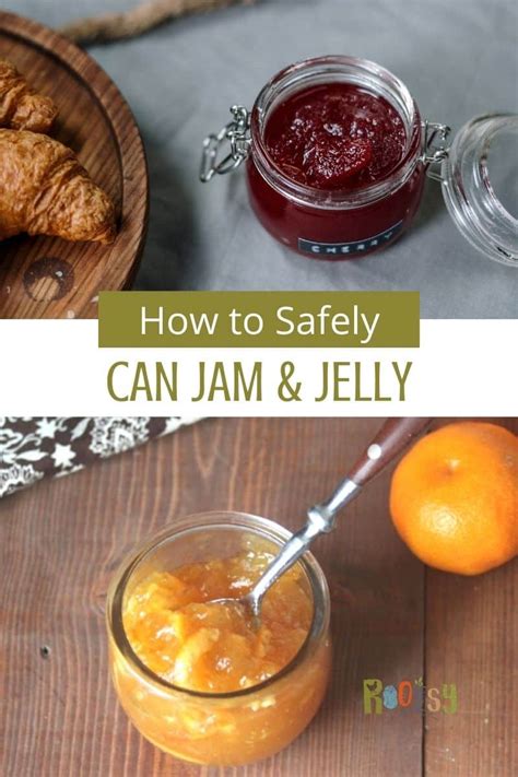 Safely Canning Jam and Jelly at Home - Rootsy Network