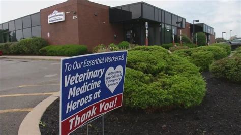 In-Depth: Rochester's only 24-hour animal hospital to start closing ...