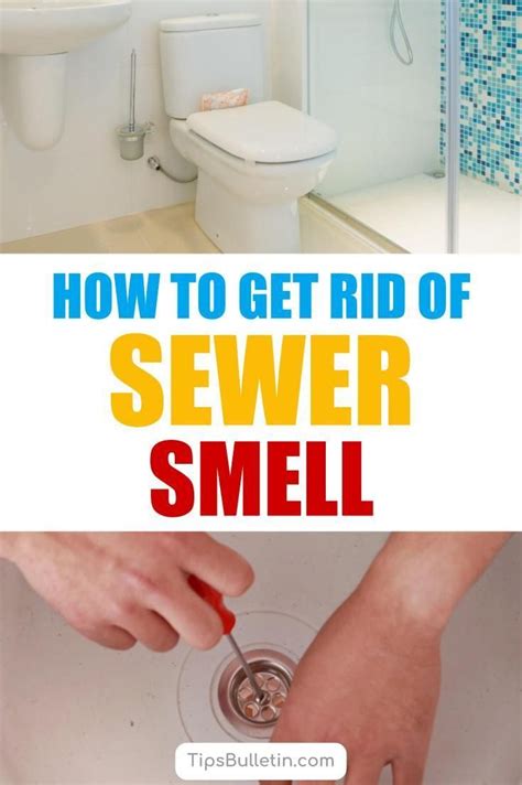 How To Get Rid Of Sewer Smell In Your House - From Basements... | Smelly bathroom drain, Smelly ...