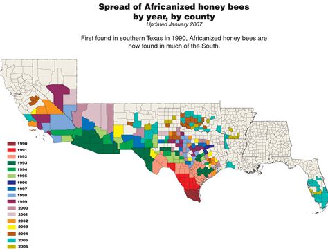 Free Updated Maps of Africanized Honey Bees Spread