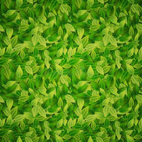 Green Leaves Background, Vector Stock Vector - Illustration of recycle, leaves: 68780540