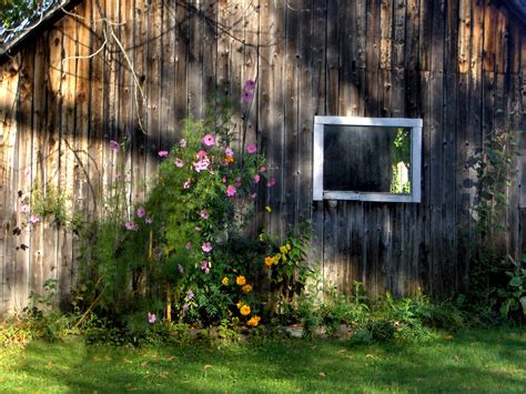 Rustic Barn Free Stock Photo - Public Domain Pictures