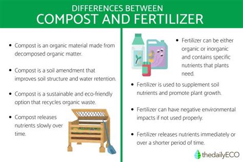 Compost vs Fertilizer - Definition and Types