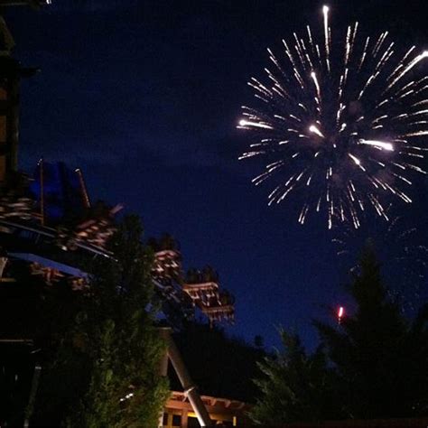 Wild Eagle and Fireworks at night... Doesn't get better than that. Wild ...