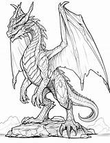 Free Dragon Printable Coloring Pages Ignite Your Imagination sketch template